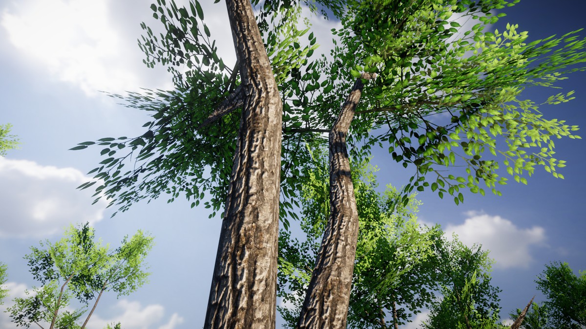 Mobile Tree Collection (20 Packs)