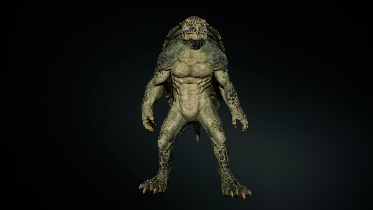 Turtle Humanoid