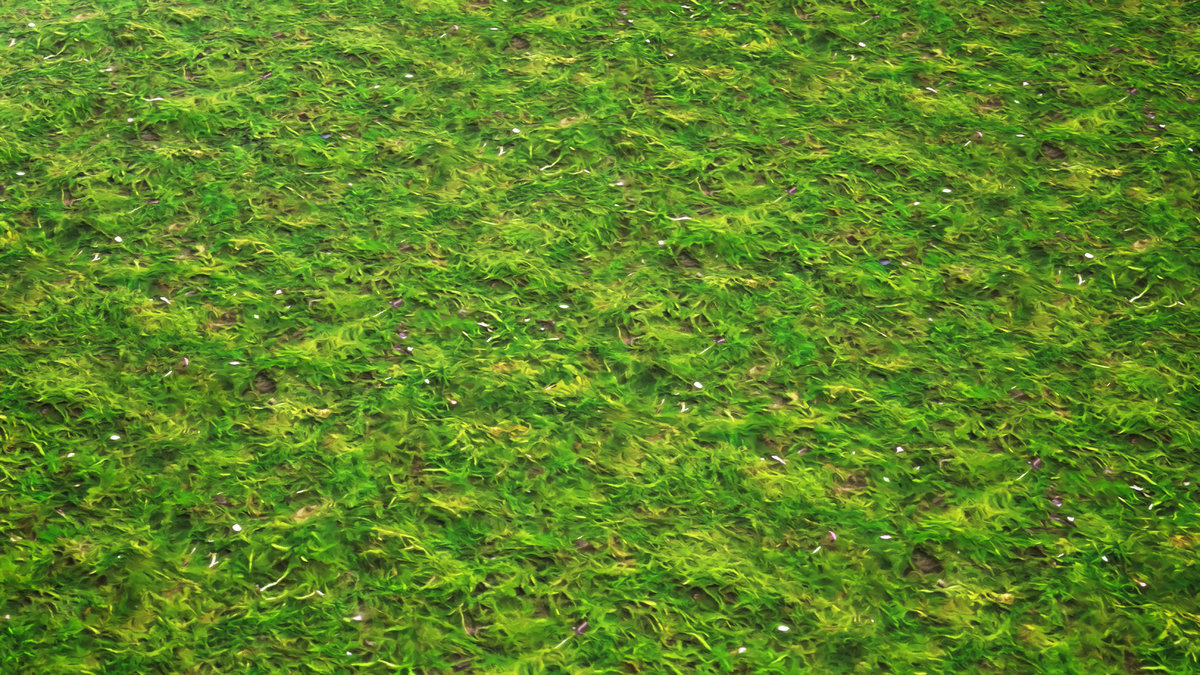 Stylized Materials - Moss 1