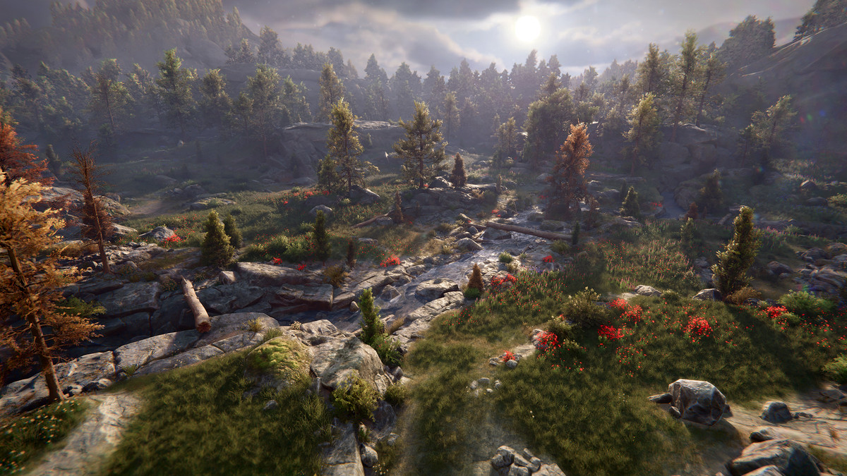 Tobyfredson - Nature Collection