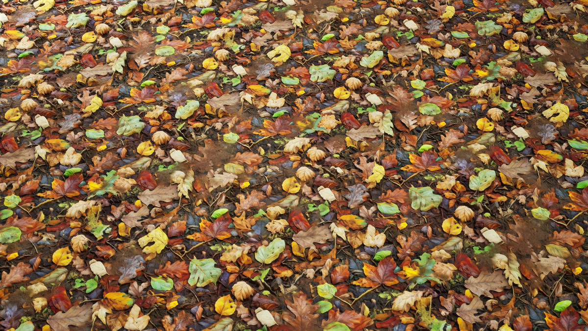 Realistic Materials - Forest Ground 2