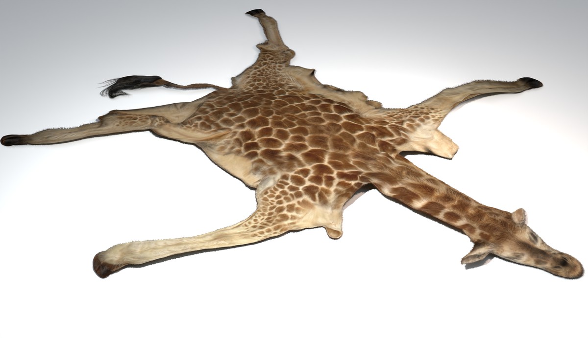 Animal pelts volume 4: giraffe, wolf, stag, reindeer, sheep, bull, bison 4k