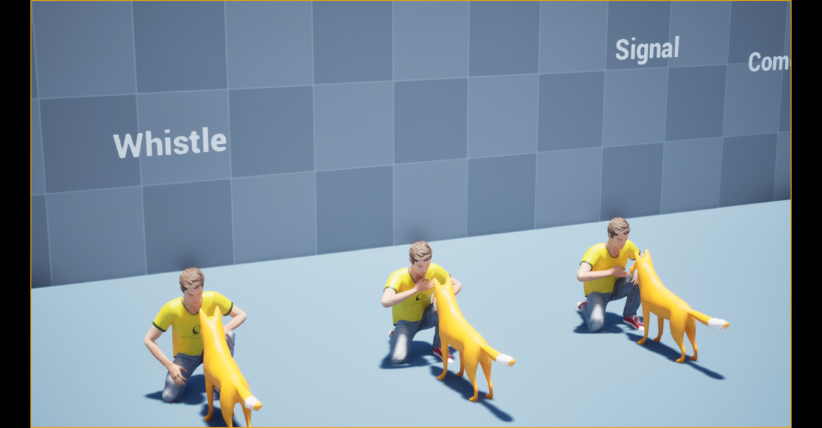 Dog Command Animation
