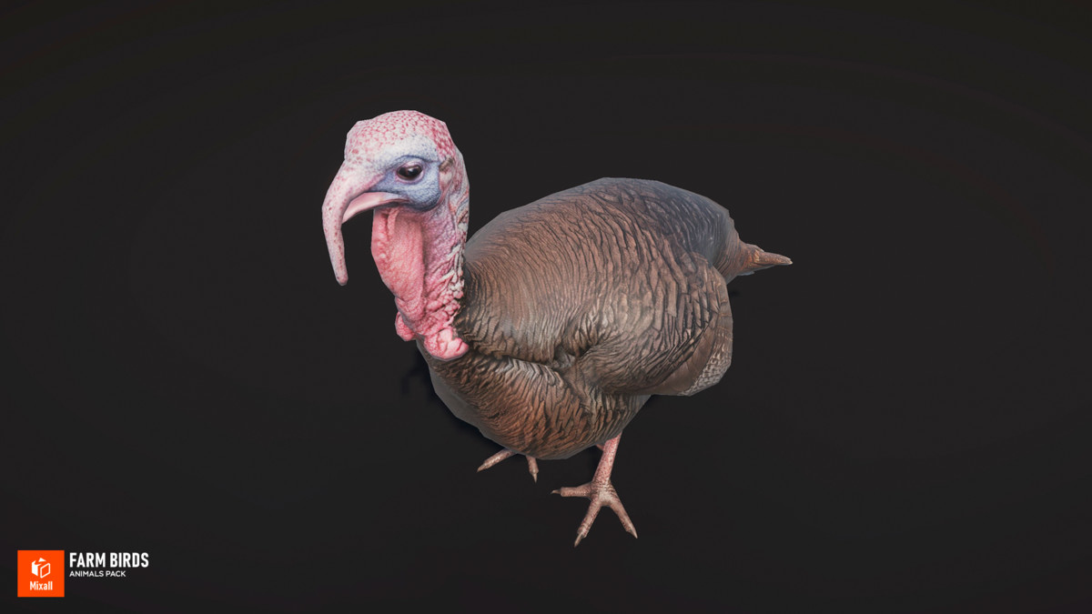 Farm birds - animals pack