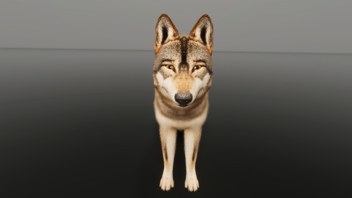 Ultrarealistic Forest Animals - Customizable Fur