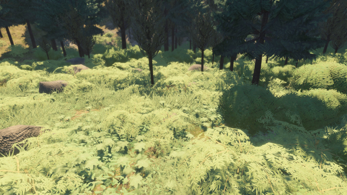 Common Forest | Stylized Nature