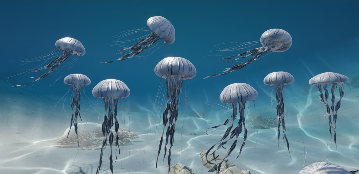 Jellyfish Compass