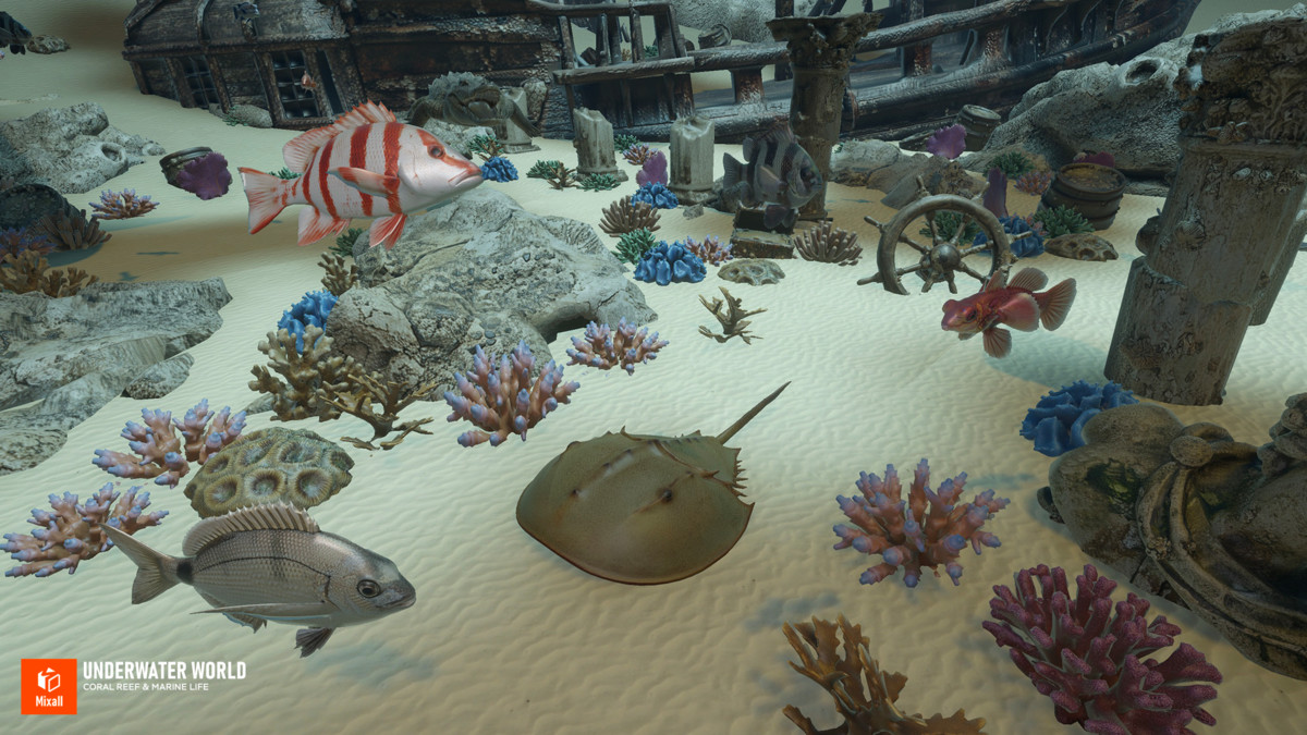 Underwater world - Coral Reef & Marine Life