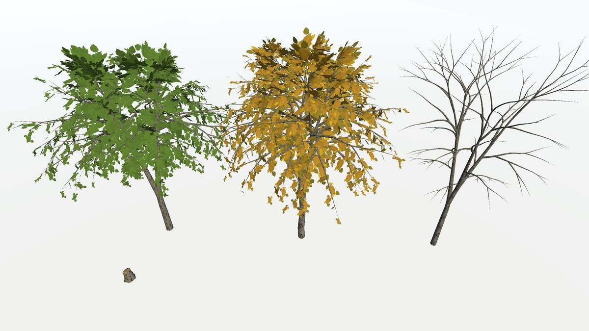 Trees Herbs Plants Pack