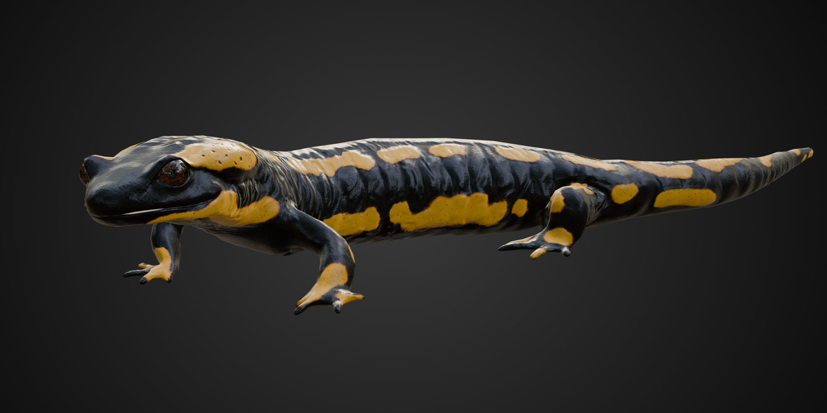Animated Salamander