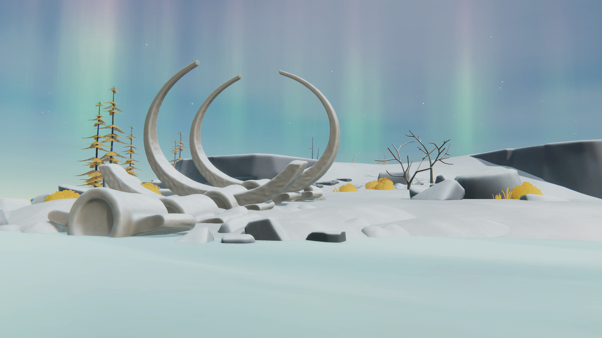 Tundra Biome