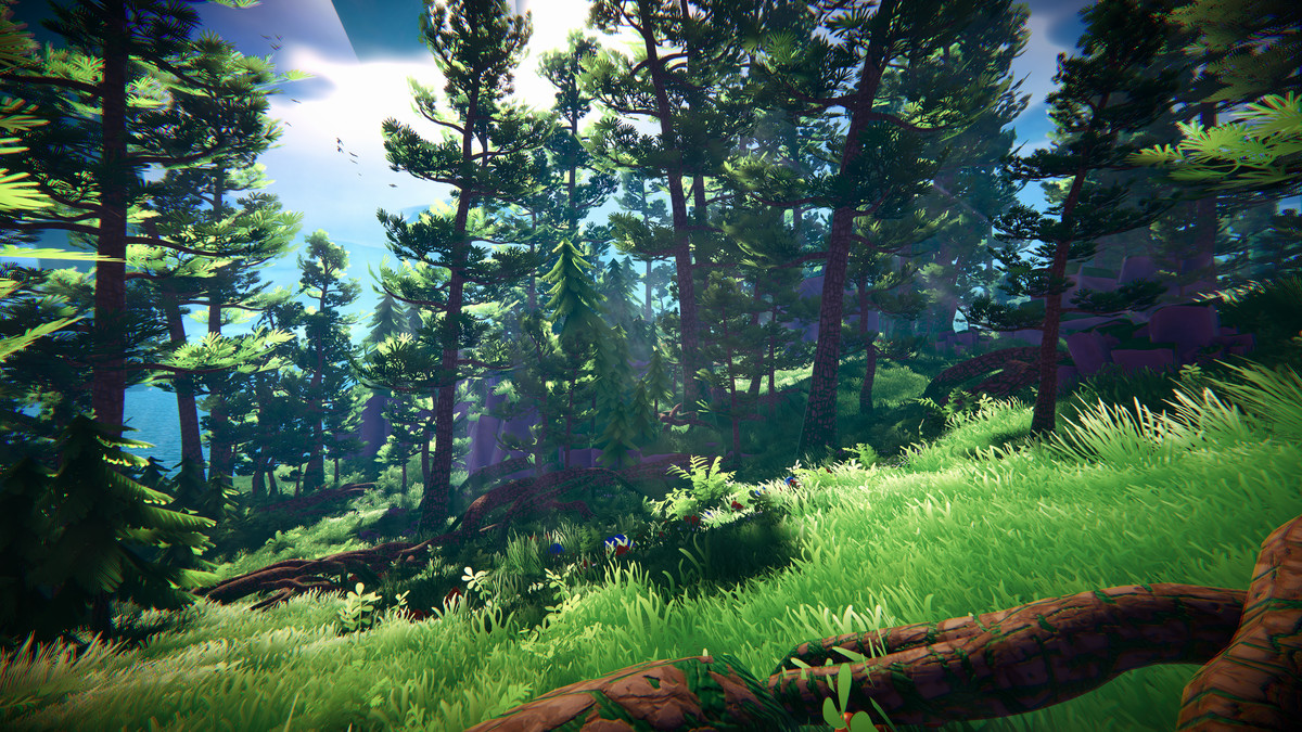 Adventure Nature Vol.6 Forest