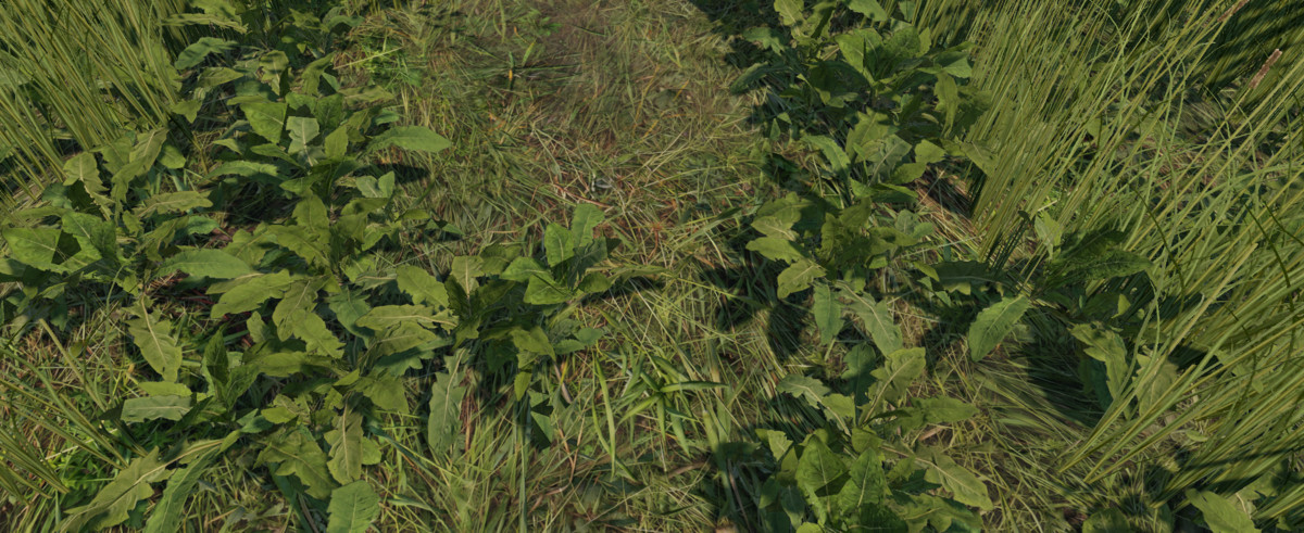 URP Riverside Environment