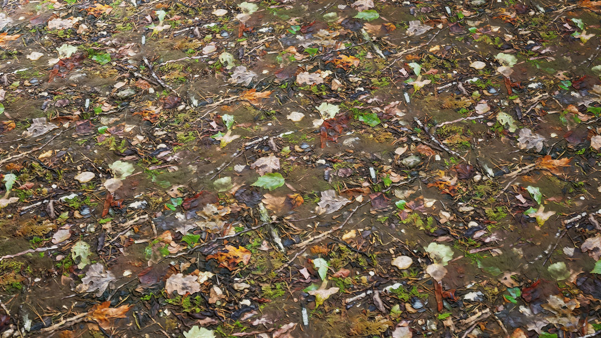 Realistic Materials - Forest Ground 1