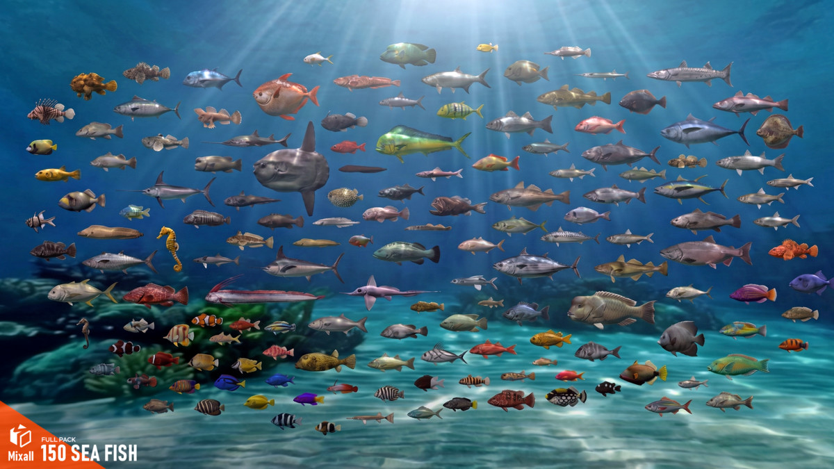150 Sea fish - Full pack