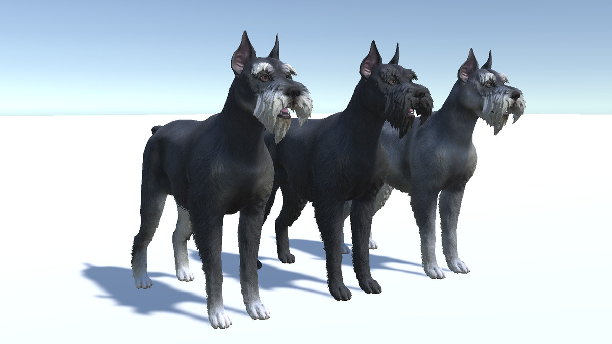 Dog - Schnauzer