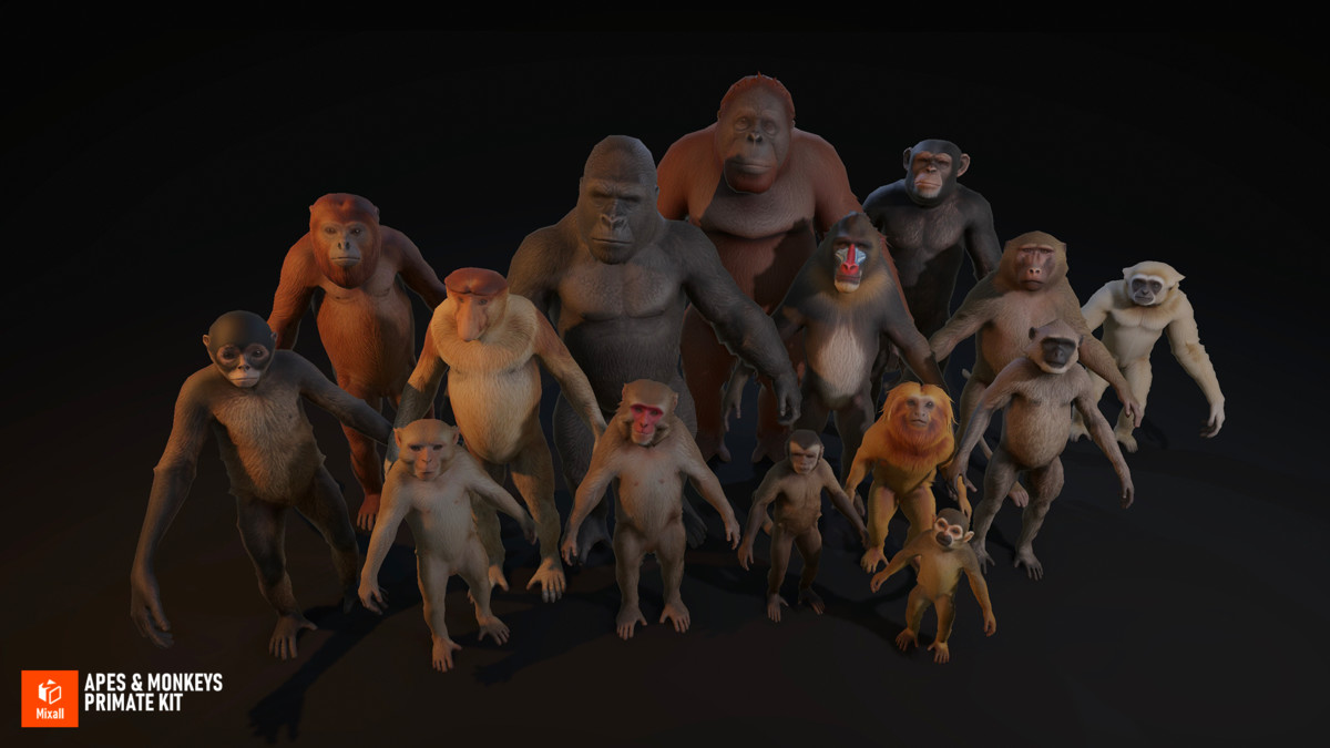 Apes & Monkeys - Primate Kit