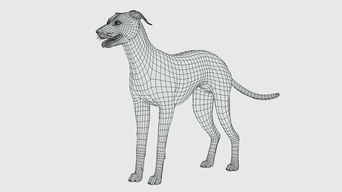 Dog -- Greyhound