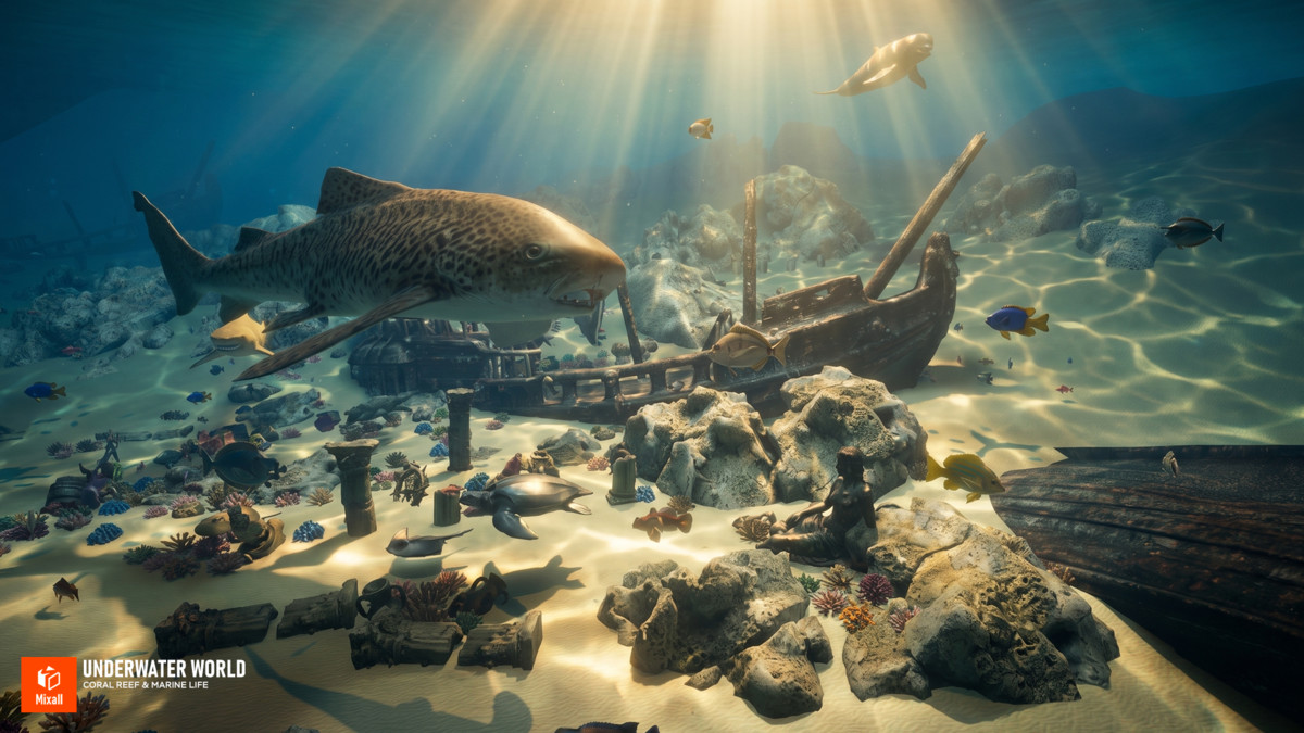 Underwater world - Coral Reef & Marine Life