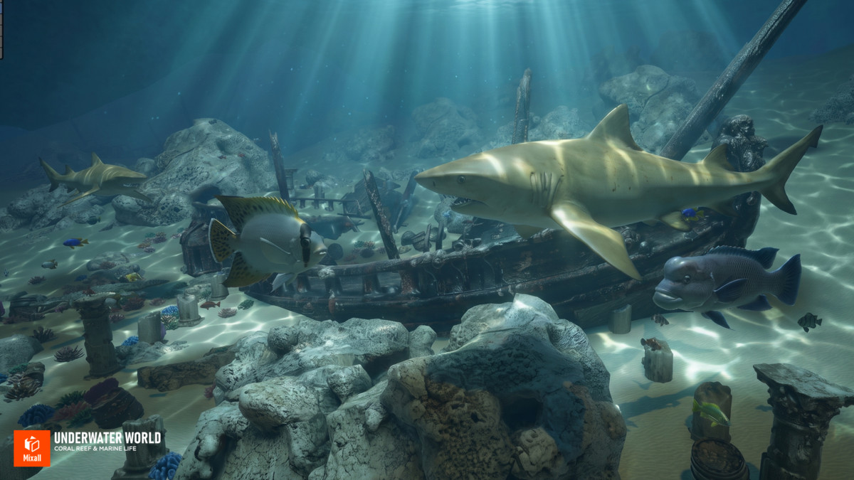 Underwater world - Coral Reef & Marine Life