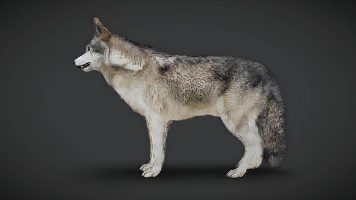 WILDPOLY - Animated Animals – Realistic Pack