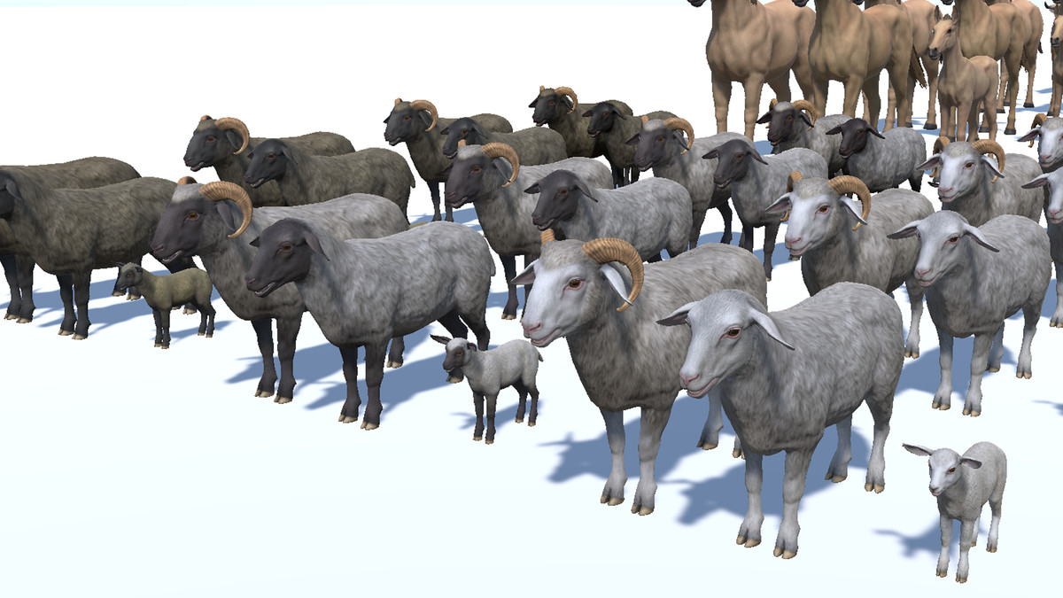 DOMESTIC ANIMAL PACK