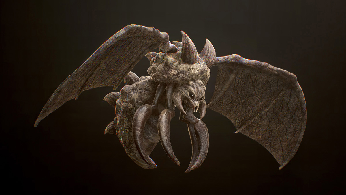 Highland Insect