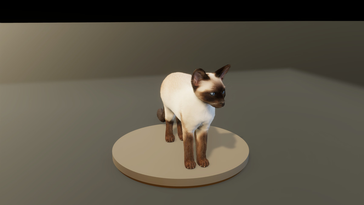 Feline Collection – Realistic Animated Cats with Customizable Fur