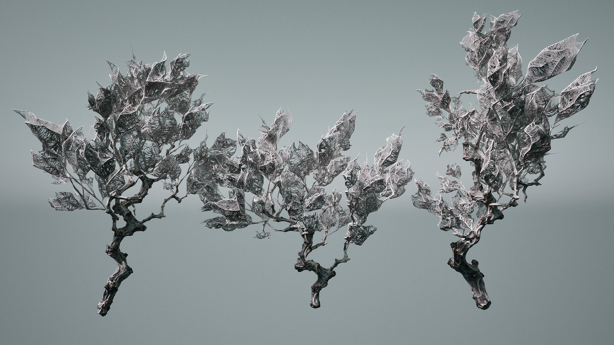 Decay trees
