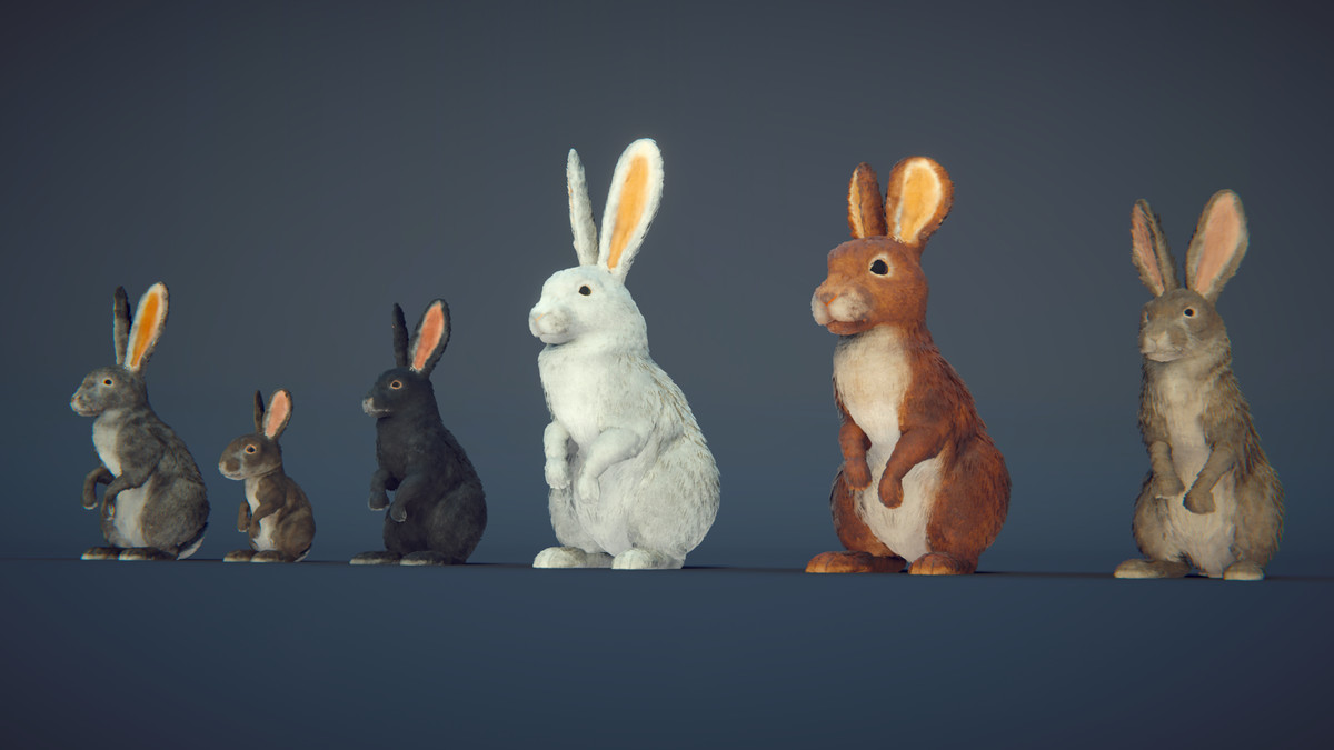 Realistic Rabbits