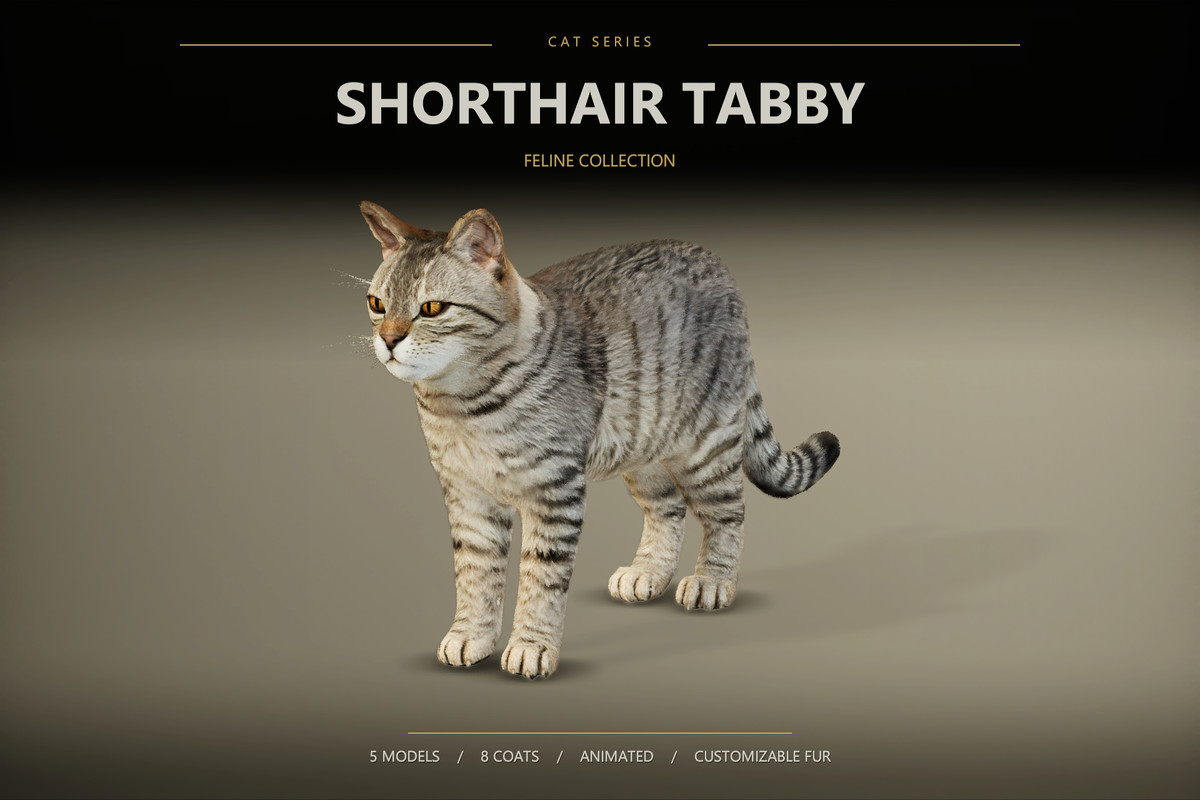 Feline Collection – Realistic Animated Cats with Customizable Fur