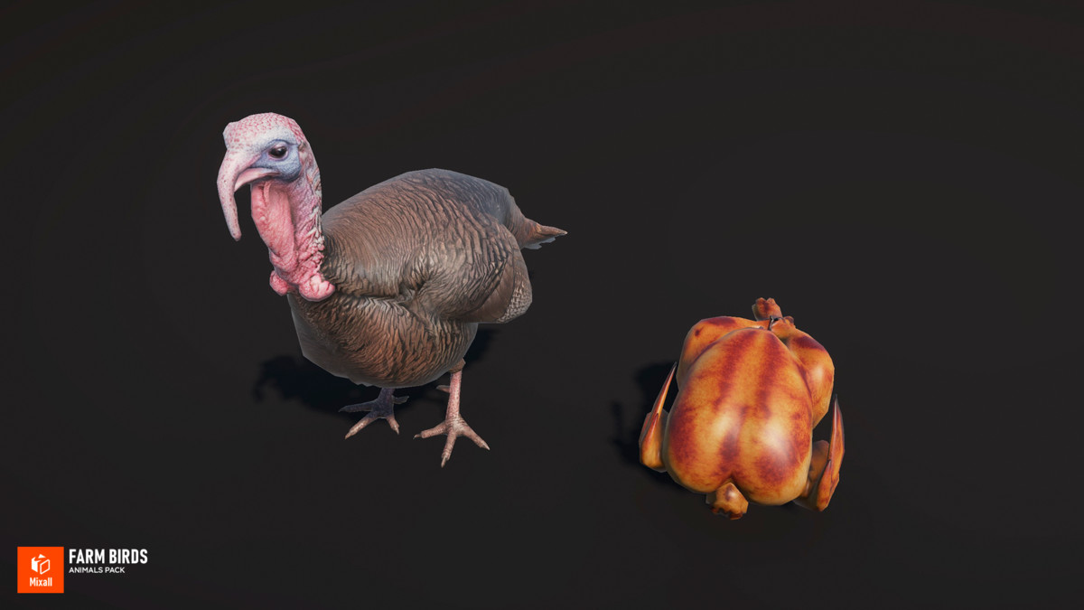 Farm birds - animals pack