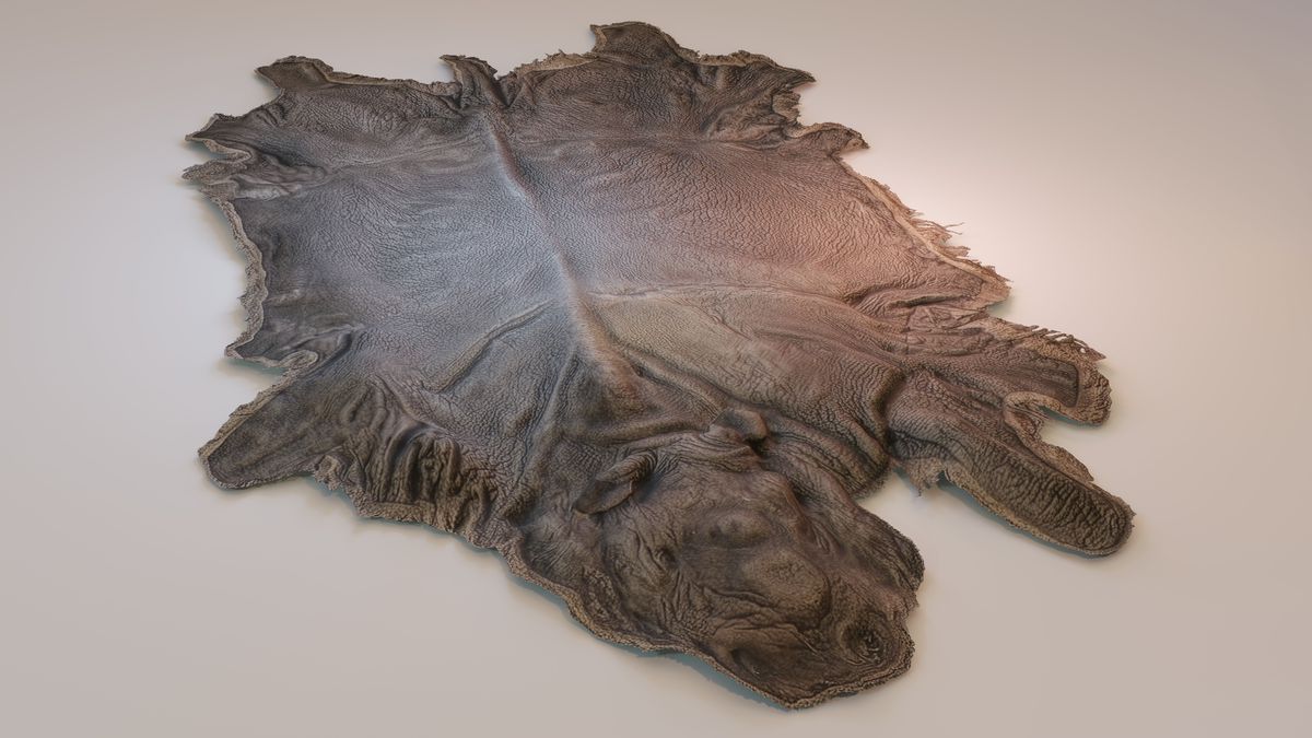 Animal pelts volume 6 bear, kangaroo, tiger, rhino, sheep, goat 4k URP Hair LODs