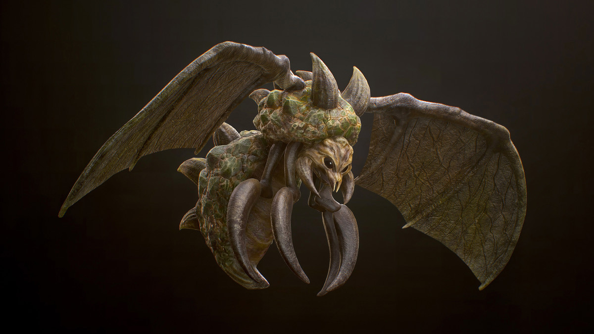 Highland Insect