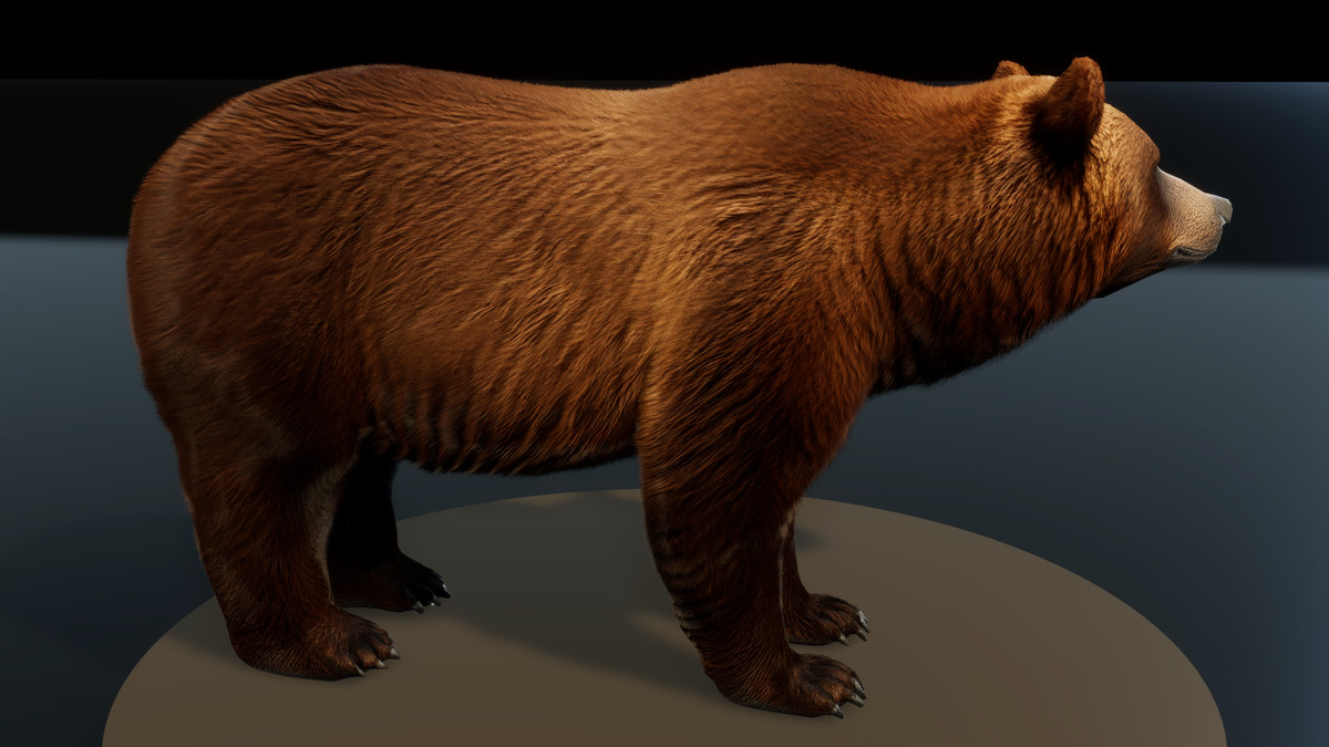 Forest Predators Collection - Realistic Animated Animals