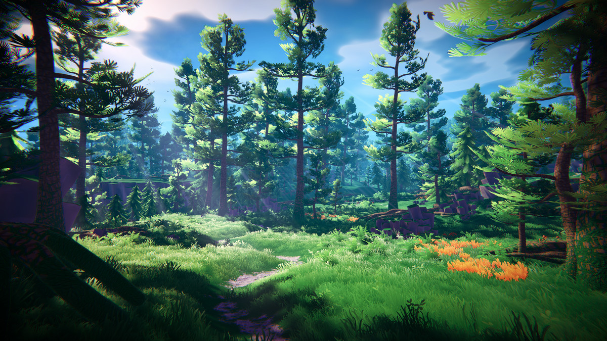 Adventure Nature Vol.6 Forest