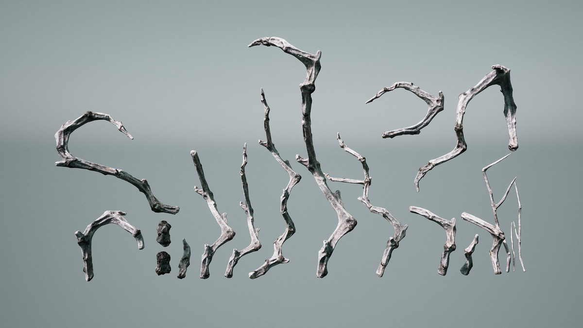 Decay trees