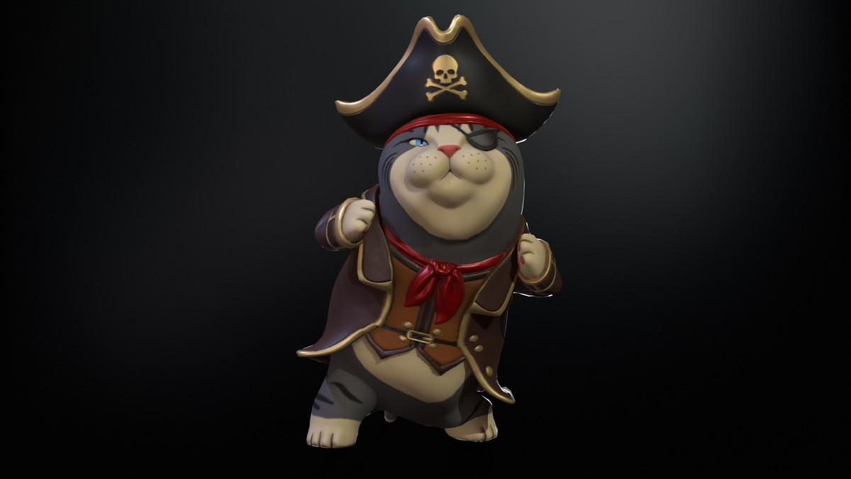 Cat Pirate
