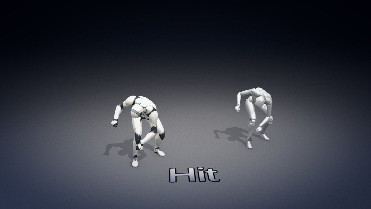 Rage Fighter Anims