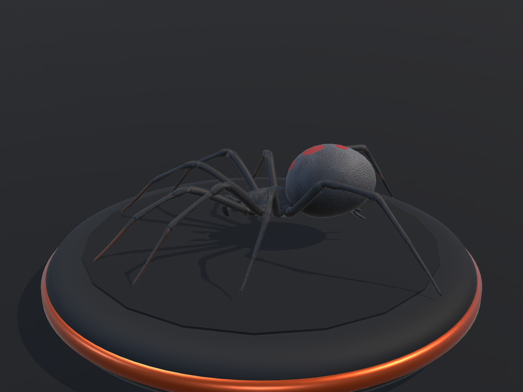 Arachnid Collection — 4 Animated Spiders