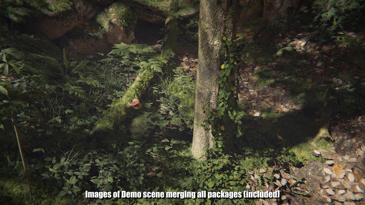 SeedMesh Forest Bundle