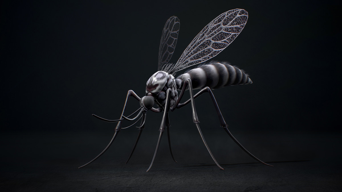 Mosquito Defender - Fantasy land Mosquitoes