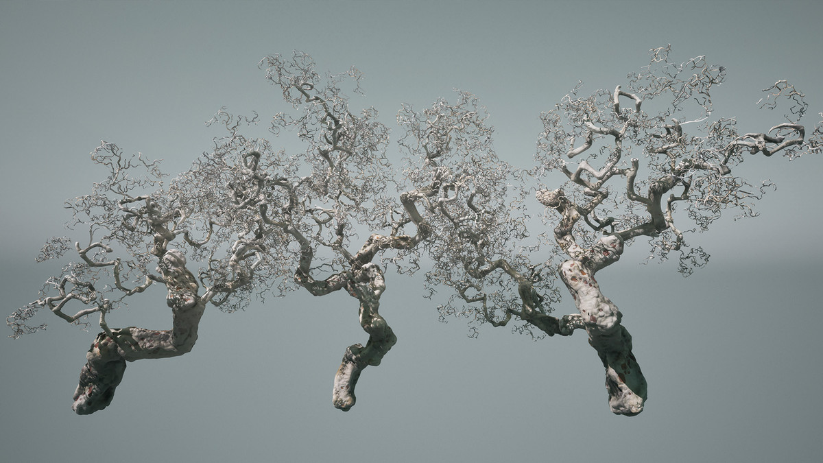 Decay trees