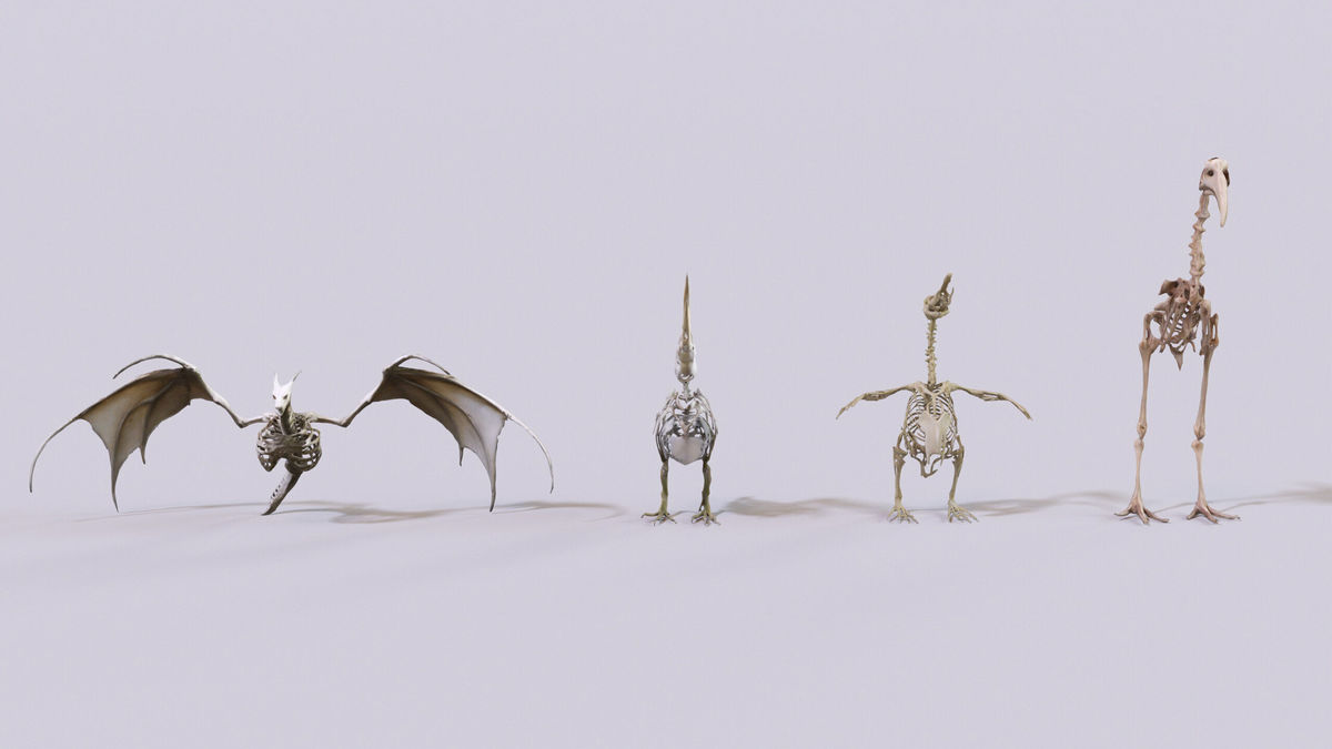 Ultimate Skeleton and Skull Pack. Game-ready low-poly assets