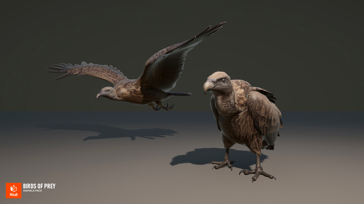 Birds of prey - animals pack