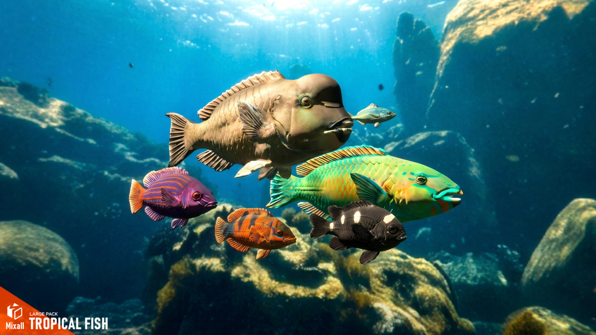 150 Sea fish - Full pack