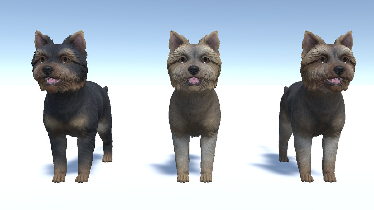 Dog - Yorkshire Terrier