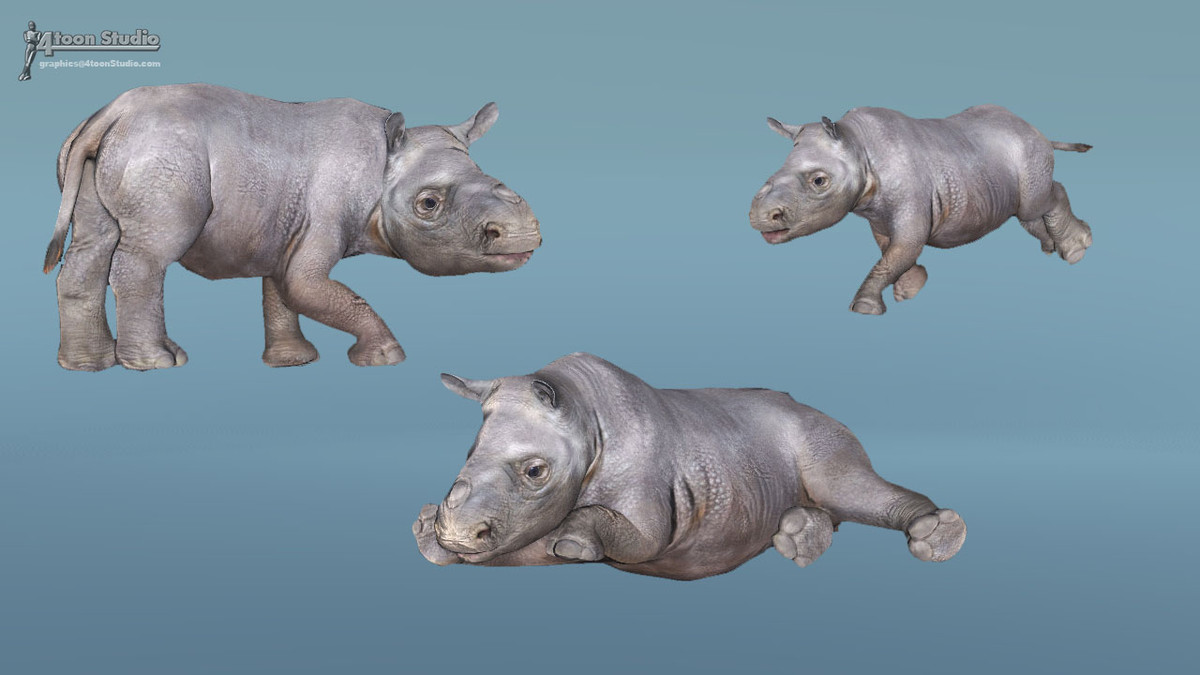 African Animal Rhinoceros Family