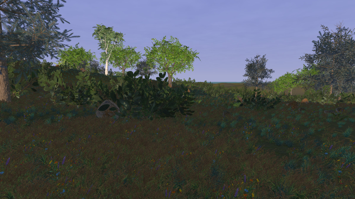 Runtime World Generation