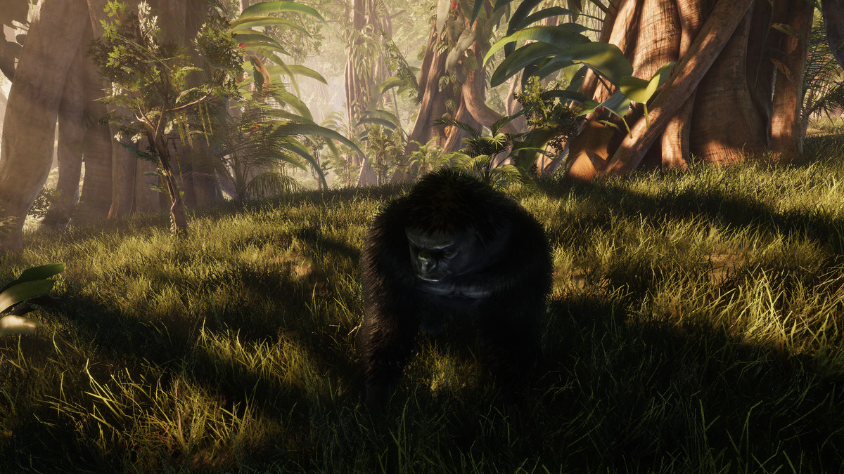 WildFur HDRP — Hair & Fur